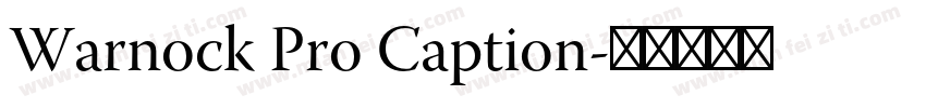 Warnock Pro Caption字体转换